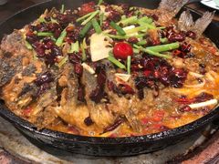 -老板恋上鱼(高新万达店)