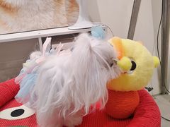 -瑞虹新天地月亮湾