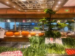 -田园印象·成都土菜院子(华阳店)