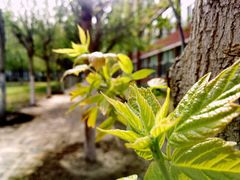 -东北师范大学(净月大街校区)