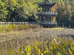 -福神岗公园