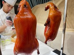 -京彩臻品火锅