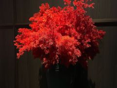 -怡情荟•海鲜青岛菜(五四广场旗舰店)