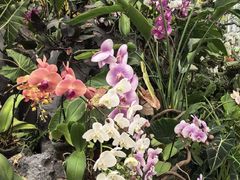 -上海鲜花港