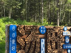 -汤旺河林海奇石景区