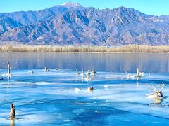 -野鸭湖国家湿地公园