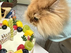 -今日Cake蛋糕茶歇·甜品台定制
