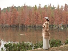 -白鹭湾湿地公园