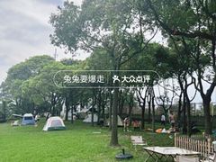 -碧海金沙