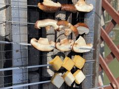 -尚庄度假村·庭台树下·户外烧烤·团建CS·轰趴营地(上庄水库店)