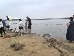 -碧海金沙