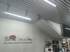 -龙膜全球臻选店·汽车贴膜·隐形车衣