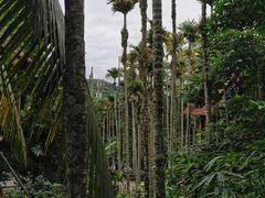 -海南槟榔谷黎苗文化旅游区