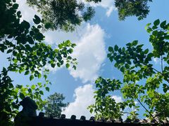 -阳台山自然风景区