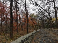 -阳台山自然风景区