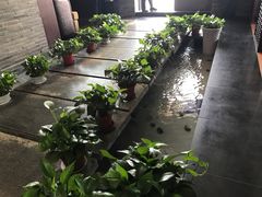 -梧桐餐厅(泉城路店)