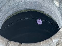 -朱家花园