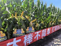 -长春农业博览园