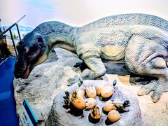 -国家自然博物馆