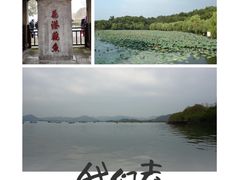 -西湖外事游船(花港观鱼码头)