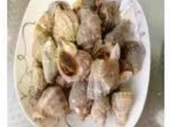 白灼小海螺-威海渔村(静安旗舰店)