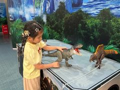 -TOYSRUS玩具反斗城(上海万象城店)