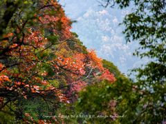 -秦岭终南山世界地质公园翠华山景区