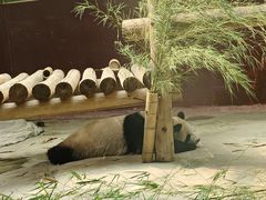 -杭州野生动物世界