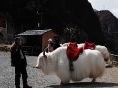 -阿坝州汶川特别旅游区