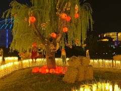 -泉城欧乐堡梦幻世界