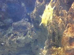 -福州罗源湾海洋世界旅游区