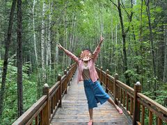 -五营红松林海景区