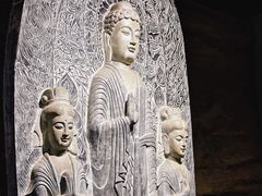 -平原博物院