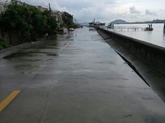 android_upload_pic-海鸥岛