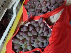 -马陆小张葡萄园农家乐