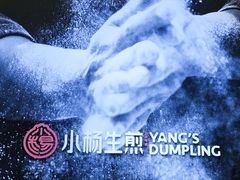 -小杨生煎(白玉兰广场店)