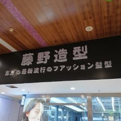-藤野造型