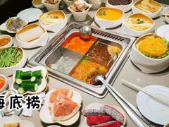 -海底捞火锅(牡丹园店)