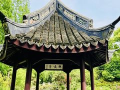 -上海醉白池公园