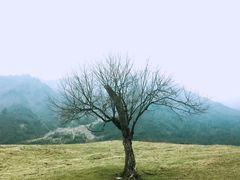-硗碛藏寨·神木垒景区