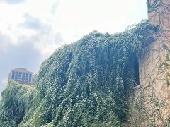 -府河摄影公园