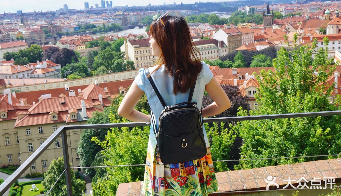 三两只洁白和平鸽悠哉地觅食