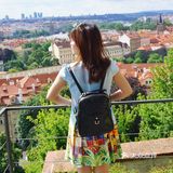 三两只洁白和平鸽悠哉地觅食