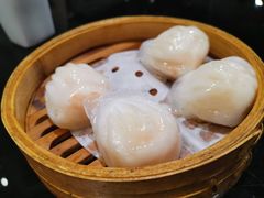 -高第街56号餐厅(凯德mall新都心店)