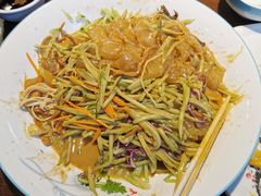 大院拉皮-东北大院·东北菜(三台子店)