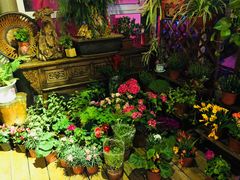 大堂-慢丽江·云南野生菌土鸡锅(西山店)