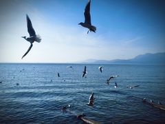 -滇池海埂公园