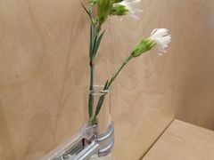 -常识咖啡common sense(春熙路店)