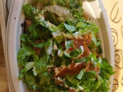 -油梨树AVOCADO TREE(嘉里中心店)