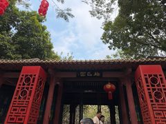 -顺峰山公园